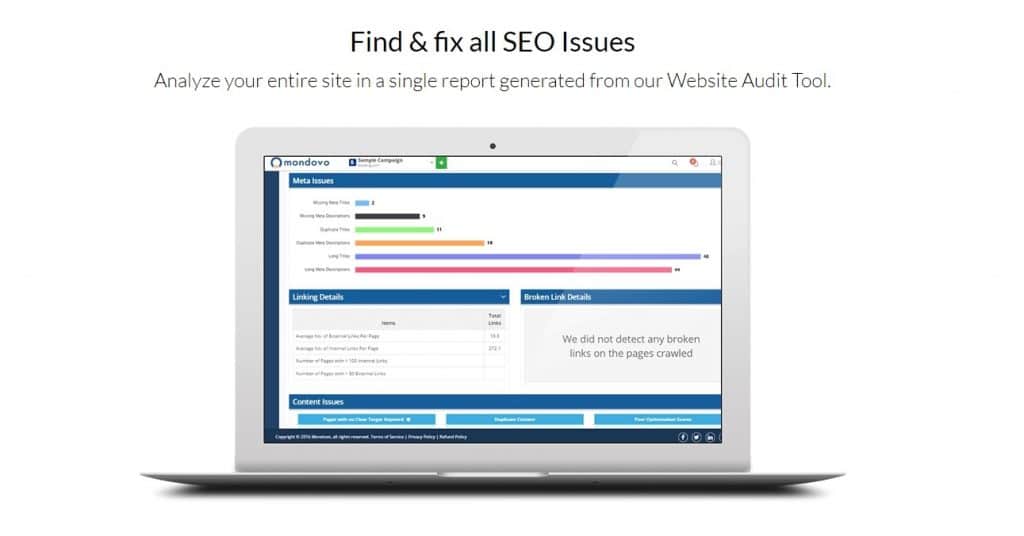 Website Audit Tool